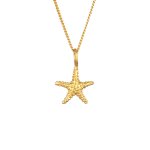 Elli - collier avec pendentif argent sterling 925 plaqué or femmes collier pour femmes pendentif Étoile ... Elli - collier avec pendentif argent sterling 925 plaqué or femmes collier pour femmes pendentif Étoile ...