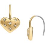 Fossil - boucles d'oreilles 1 pieces female Fossil - boucles d'oreilles 1 pieces female