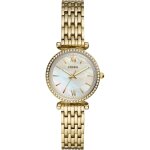 Fossil - montres montres femme 1 pieces female