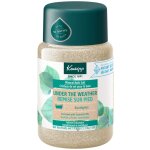 Kneipp - sel de bain minral under the weather - eucalyptus gel douche parfum 500 g unisex