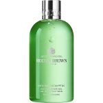 Molton brown - body essentials infusing eucalyptus bath & shower gel savon 300 ml male