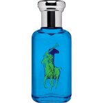 Ralph lauren - big pony blue eau de toilette 50 ml male