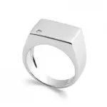 Chevalire homme argent massif et zircon - voyages