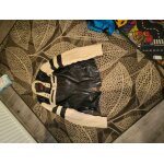 Blouson biker en cuir noir et beige taille l pour homme