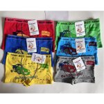 Boxer en coton aux motifs animaux rigolos garon 2  12 ans - 24 pices vendu par lot de 2 pices .