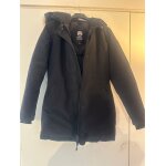 Canada goose