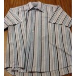 Chemise brice manche courte raye vert bleu