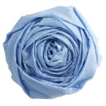 Clairefontaine 901027c papier cr�pon bleu