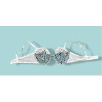 F506 et chic soutien gorge daniel hechter 95c