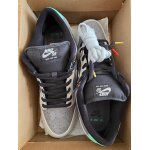 Nike sb dunk low  vx1000 camcorder - 46