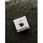 Pandora charm exlusif argent
