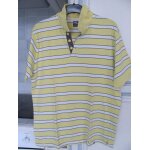 Polo celio