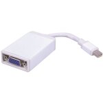 Adaptateur mini display port m�le vers vga femelle