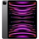 Tablette apple ipad pro wi - fi + cellular 128 go 12. 9 pouces gris