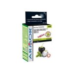 Armor 348 - 11 ml - noir - cartouche d'encre (quivalent  : canon cli - 521bk ) - pour canon pixma ip4700, ...