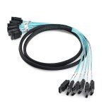 Asfasfq - gorise cble sata 3 iii haute vitesse 6 gbit / s pour serveur 6 sata, 0, 5 m