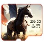Carte m�moire micro sd 256 go class 10 + adaptateur + lecteur carte memoire