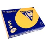 Clairefontaine lot de 10 ramettes 500 feuilles papier 80g a4 210x297 mm certifi fsc bouton d'or