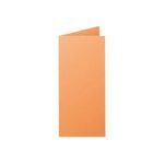 Clairefontaine pollen dl - papier - cl�mentine - 106 x 213 mm - 210 g / m - 25 carte(s) cartes pli�es ...