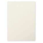 Clairefontaine pollen - gris perle - a4 (210 x 297 mm) - 210 g / m - 25 feuille(s) papier color�