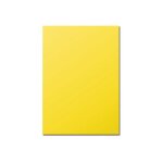 Clairefontaine pollen - jaune intense - a4 (210 x 297 mm) - 120 g / m - 50 feuille(s) papier teint�