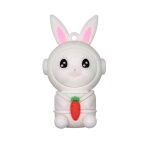 Cl usb pendrive, support  mmoire de 32gb 64gb 32gb 128gb 256gb, lecteur flash, dessin anim, animaux, ...