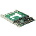 Delock converter 2. 5  sata 22 pin > msata with raid - contrleur de stockage (raid) - 2 canal - sata ...