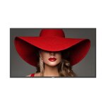 Ecran videowall philips d - line 50  lcd