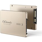 G500 disque dur ssd 2, 5 256 go, sata iii avec coque en aluminium léger, ssd interne rapide pour ordinateur ... G500 disque dur ssd 2, 5 256 go, sata iii avec coque en aluminium léger, ssd interne rapide pour ordinateur ...