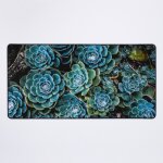 Grand tapis de souris gaming pour bureau combinaison de motifs de cactus et de plantes succulentes et ... Grand tapis de souris gaming pour bureau combinaison de motifs de cactus et de plantes succulentes et ...