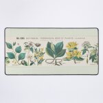 Grand tapis de souris gaming pour bureau tableau botanique des plantes médicinales 75x40cm antidérapante ... Grand tapis de souris gaming pour bureau tableau botanique des plantes médicinales 75x40cm antidérapante ...