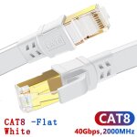 Hengsur - câble ethernet cat8, 40gbps, 2000mhz, rj45, 10m, 20m, 30m, patch internet, pour modem routeur, ... Hengsur - câble ethernet cat8, 40gbps, 2000mhz, rj45, 10m, 20m, 30m, patch internet, pour modem routeur, ...