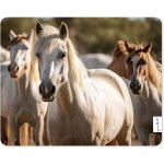 Jgd - tapis de souris motif chevaux sauvages i 24 x 19 cm i tapis de souris taille standard i impression ...
