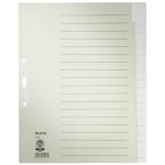 Leitz 12200085 intercalaire de classement onglet avec index vierge papier gris
