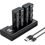 Np - f550 chargeur de batterie kit 2x 2900mah batterie de remplacement lcd type - c câble usb chargeur ... Np - f550 chargeur de batterie kit 2x 2900mah batterie de remplacement lcd type - c câble usb chargeur ...