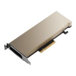 Nvidia a2 - processeur de calcul - a2 - 16 go gddr6 - pcie 4. 0 x8 profil bas - san ventilateur Nvidia a2 - processeur de calcul - a2 - 16 go gddr6 - pcie 4. 0 x8 profil bas - san ventilateur