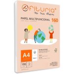 Patq - ramette de papier a4 160g avec 100 feuilles blanches, papier multifonctionnel pour un usage scolaire ...