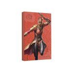 Seagate okoye - shuri special edition - disque dur - 2 to - externe (portable) - usb 3. 2 gen 1 - avec ...