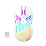 Souris de jeu rvb filaire sans fil légère, coque en accent d'abeille, ergonomique pour ordinateur, pc, ... Souris de jeu rvb filaire sans fil légère, coque en accent d'abeille, ergonomique pour ordinateur, pc, ...