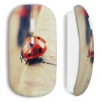 Souris sans fil coccinelle