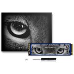 Subzonal - ssd 2to pour ps5 avec dissipateur thermique tlc nand, jusqu 7450 mo / s pcie 4. 0 nvme ...