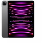 Tablette apple ipad pro m2 (2022) 11  wi - fi 128 go gris sidral