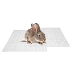 Tapis de pieds en plastique pour animaux de compagnie, 1 pice, 34x25cm, pour lapin, cochon d'inde, chat, ...