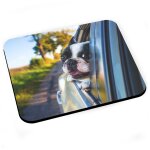 Tapis de souris bulldog francais en voiture chien noir et blanc mignon