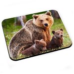 Tapis de souris famille d'ours ourson maman ours photo animaux sauvages