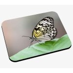 Tapis de souris papillon noir, rouge et vert anis sur fleur jaune champtre animaux