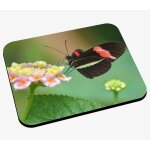 Tapis de souris papillon noir rouge et vert anis sur fleurs jaunes et roses nature animaux