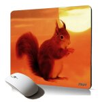 Tapis de souris souple ecureuil des foret animaux mousepad résistant et durable cadeau petit animal mignon ... Tapis de souris souple ecureuil des foret animaux mousepad résistant et durable cadeau petit animal mignon ...