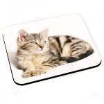 Tapis de souris splendide chaton tigre yeux gris europeen mignon chat
