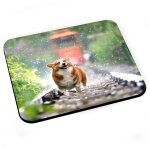 Tapis de souris welsh corgi petit chien mignon poils longs mignon rail train
